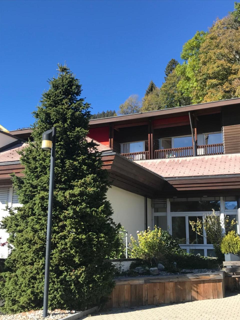 Budget Rooms Gstaad เชินรีด ภายนอก รูปภาพ