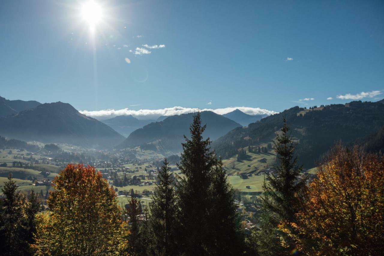 Budget Rooms Gstaad เชินรีด ภายนอก รูปภาพ